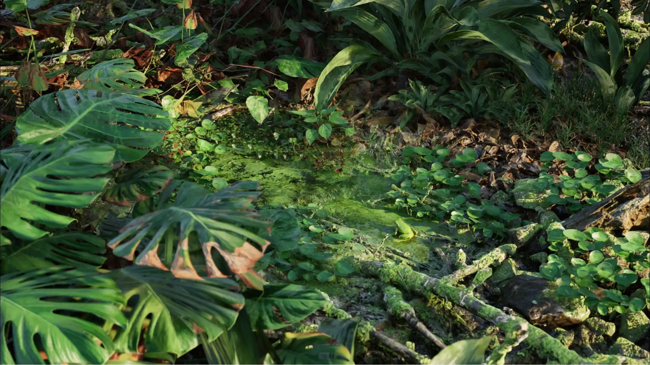 Dense nature and frog environment